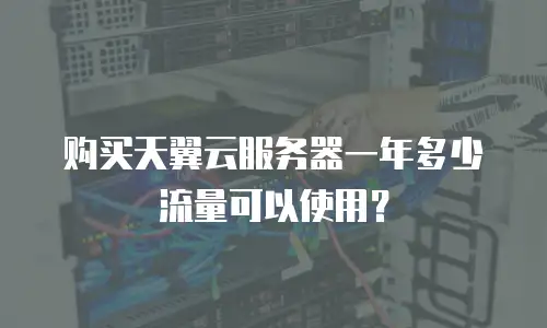 购买天翼云服务器一年多少流量可以使用？