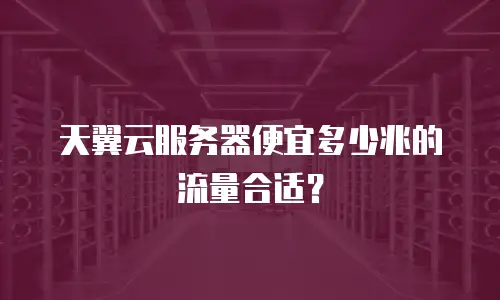 天翼云服务器便宜多少兆的流量合适？
