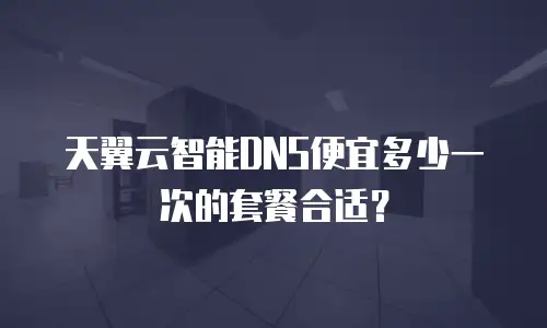天翼云智能DNS便宜多少一次的套餐合适？