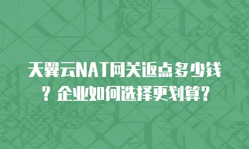 天翼云NAT网关返点多少钱？企业如何选择更划算？