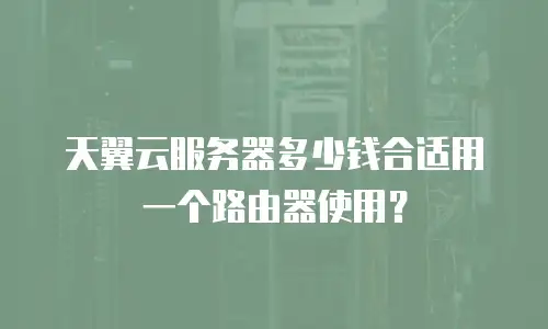 天翼云服务器多少钱合适用一个路由器使用？