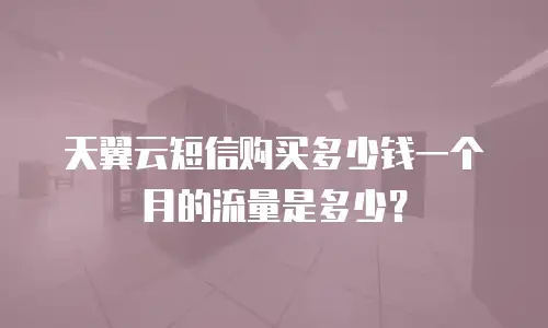 天翼云短信购买多少钱一个月的流量是多少？