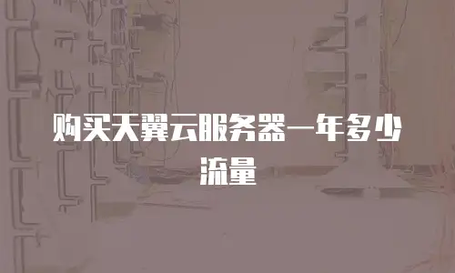 购买天翼云服务器一年多少流量