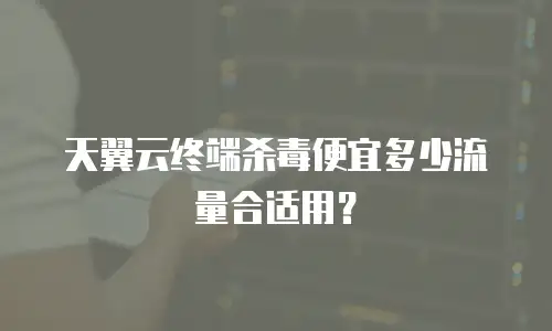 天翼云终端杀毒便宜多少流量合适用？