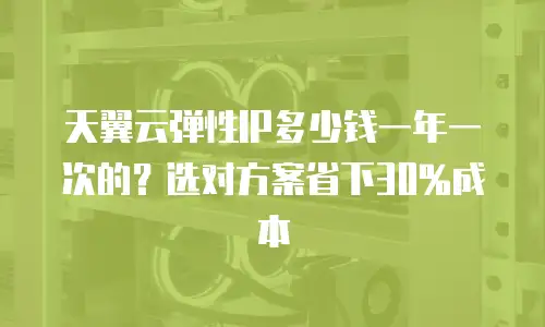 天翼云弹性IP多少钱一年一次的？选对方案省下30%成本