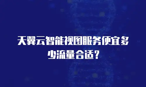 天翼云智能视图服务便宜多少流量合适？