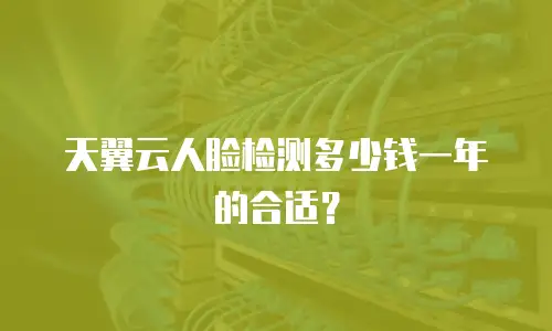 天翼云人脸检测多少钱一年的合适？