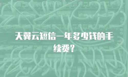 天翼云短信一年多少钱的手续费？