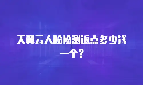 天翼云人脸检测返点多少钱一个？