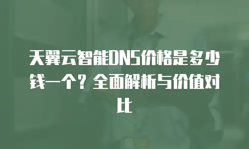 天翼云智能DNS价格是多少钱一个？全面解析与价值对比