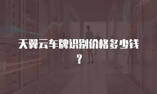 天翼云车牌识别价格多少钱？