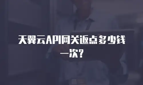 天翼云API网关返点多少钱一次？