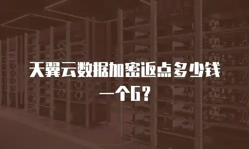 天翼云数据加密返点多少钱一个G？