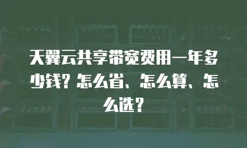 天翼云共享带宽费用一年多少钱？怎么省、怎么算、怎么选？