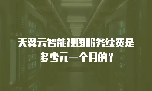 天翼云智能视图服务续费是多少元一个月的？