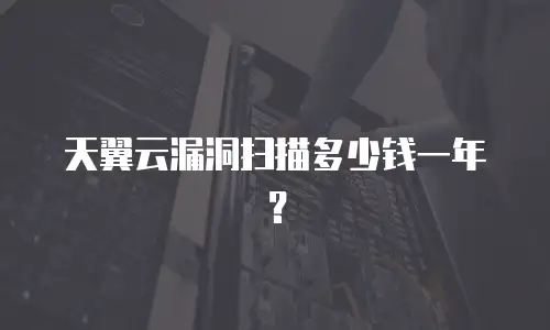天翼云漏洞扫描多少钱一年？