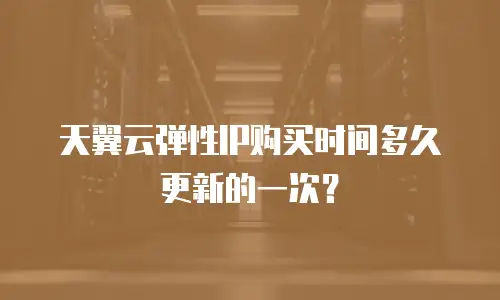 天翼云弹性IP购买时间多久更新的一次？
