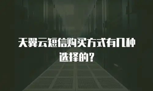 天翼云短信购买方式有几种选择的？