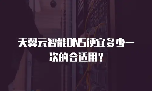 天翼云智能DNS便宜多少一次的合适用？