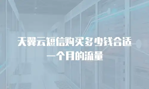 天翼云短信购买多少钱合适一个月的流量