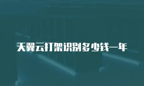 天翼云打架识别多少钱一年