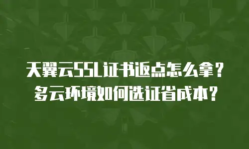 天翼云SSL证书返点怎么拿？多云环境如何选证省成本？