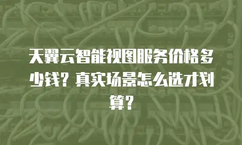 天翼云智能视图服务价格多少钱？真实场景怎么选才划算？