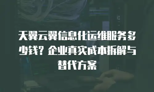 天翼云翼信息化运维服务多少钱？企业真实成本拆解与替代方案
