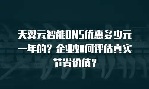 天翼云智能DNS优惠多少元一年的？企业如何评估真实节省价值？
