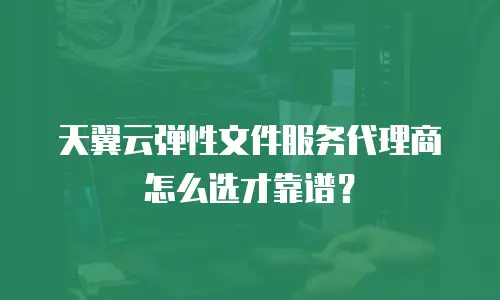 天翼云弹性文件服务代理商怎么选才靠谱？