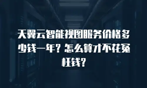 天翼云智能视图服务价格多少钱一年？怎么算才不花冤枉钱？