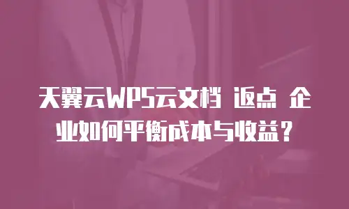 天翼云WPS云文档 返点 企业如何平衡成本与收益？