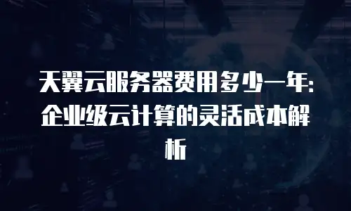 天翼云服务器费用多少一年：企业级云计算的灵活成本解析