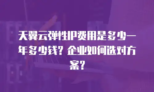天翼云弹性IP费用是多少一年多少钱？企业如何选对方案？