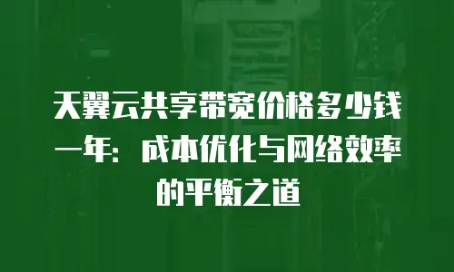天翼云共享带宽价格多少钱一年：成本优化与网络效率的平衡之道