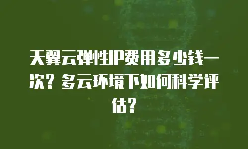天翼云弹性IP费用多少钱一次？多云环境下如何科学评估？