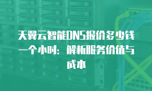 天翼云智能DNS报价多少钱一个小时：解析服务价值与成本