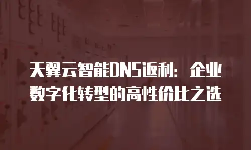 天翼云智能DNS返利：企业数字化转型的高性价比之选