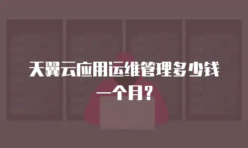 天翼云应用运维管理多少钱一个月？