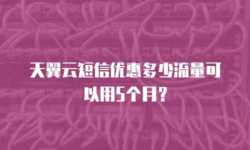 天翼云短信优惠多少流量可以用5个月？