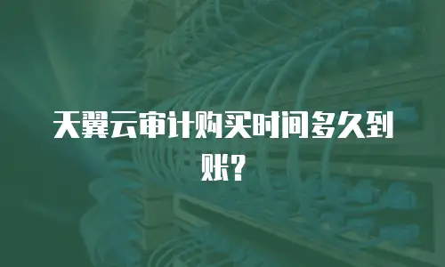 天翼云审计购买时间多久到账？