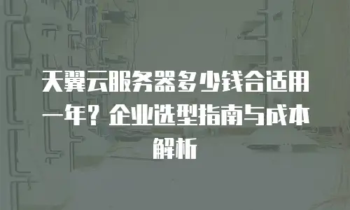 天翼云服务器多少钱合适用一年？企业选型指南与成本解析