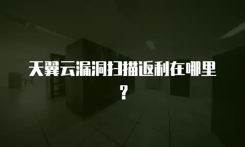 天翼云漏洞扫描返利在哪里？