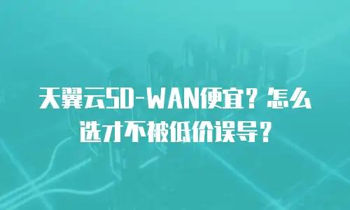 天翼云SD-WAN便宜？怎么选才不被低价误导？