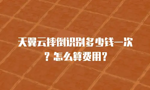天翼云摔倒识别多少钱一次？怎么算费用？