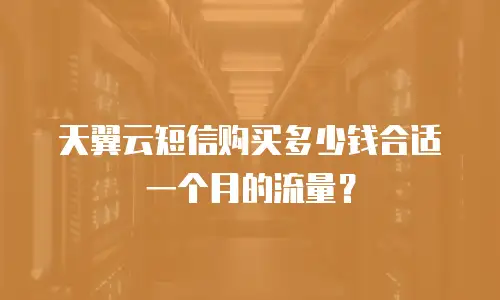 天翼云短信购买多少钱合适一个月的流量？
