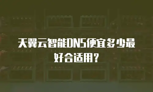 天翼云智能DNS便宜多少最好合适用？