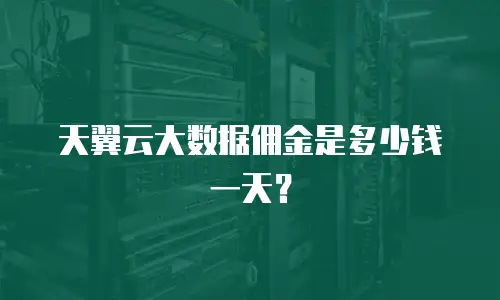 天翼云大数据佣金是多少钱一天？
