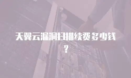 天翼云漏洞扫描续费多少钱？