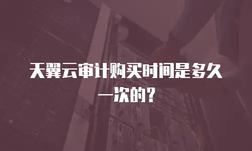 天翼云审计购买时间是多久一次的？
